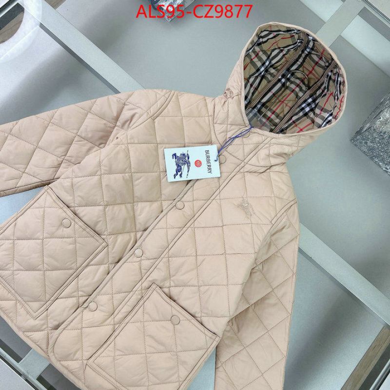 Kids clothing-Down jacket sellers online ID: CZ9877 $: 95USD
