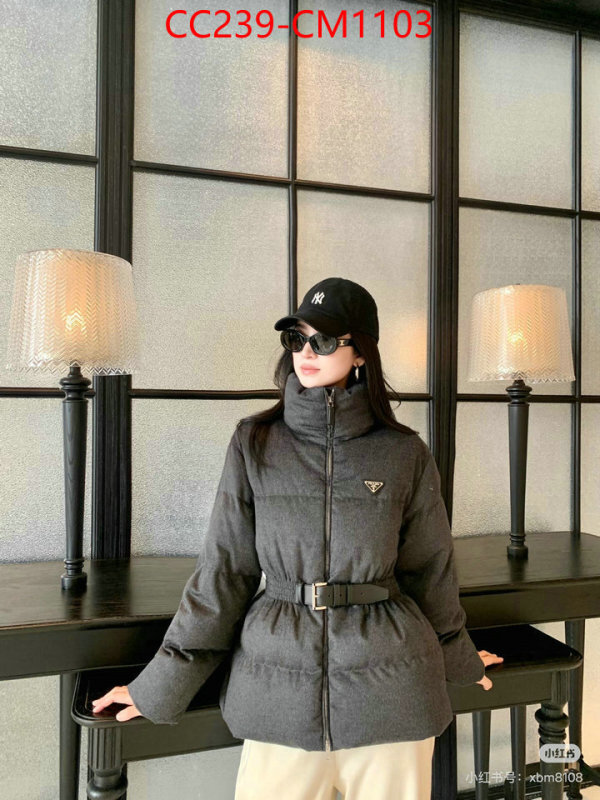 Down jacket Women-Prada where can i buy the best quality ID: CM1103 $: 239USD