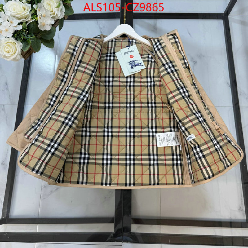 Kids clothing-Down jacket high quality ID: CZ9865 $: 105USD