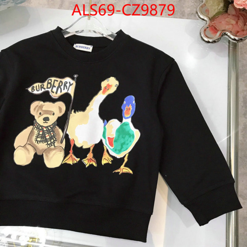 Kids clothing-Burberry fake cheap best online ID: CZ9879 $: 69USD