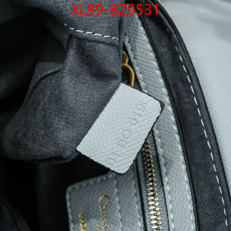 Dior Bags(4A)-Saddle- aaaaa+ class replica ID: BZ9531 $: 99USD,