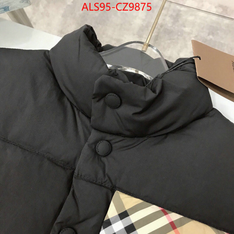 Kids clothing-Down jacket how to buy replica shop ID: CZ9875 $: 95USD