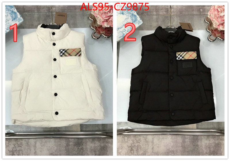 Kids clothing-Down jacket how to buy replica shop ID: CZ9875 $: 95USD