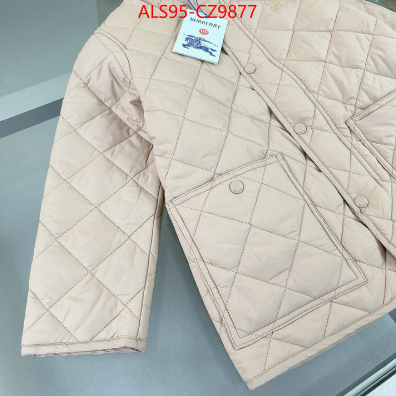 Kids clothing-Down jacket sellers online ID: CZ9877 $: 95USD