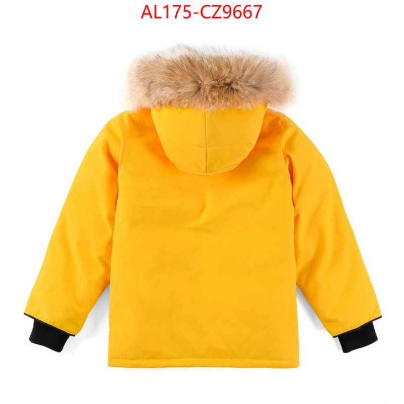 Kids clothing-Down jacket best replica 1:1 ID: CZ9667 $: 175USD