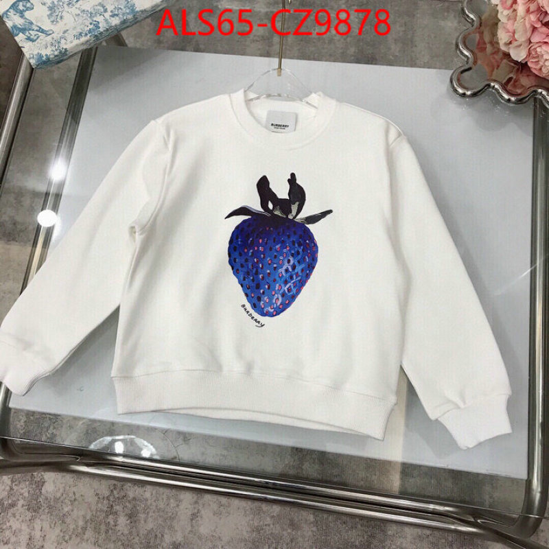 Kids clothing-Burberry best website for replica ID: CZ9878 $: 65USD