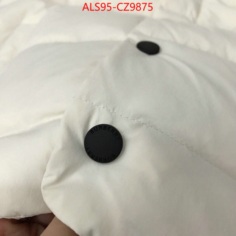Kids clothing-Down jacket how to buy replica shop ID: CZ9875 $: 95USD