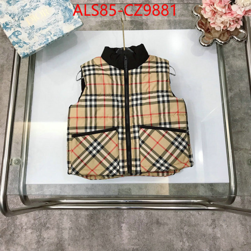 Kids clothing-Down jacket designer 1:1 replica ID: CZ9881 $: 85USD