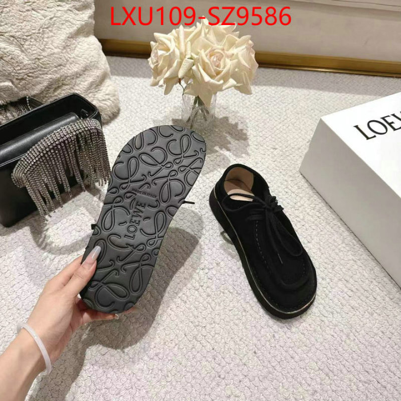 Women Shoes-Loewe top sale ID: SZ9586 $: 109USD