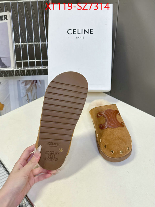 Women Shoes-CELINE what is top quality replica ID: SZ7314 $: 119USD