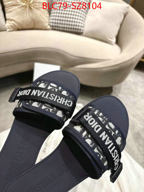 Women Shoes-Dior the online shopping ID: SZ8104 $: 79USD
