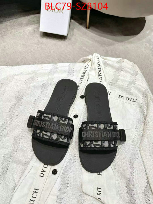 Women Shoes-Dior the online shopping ID: SZ8104 $: 79USD