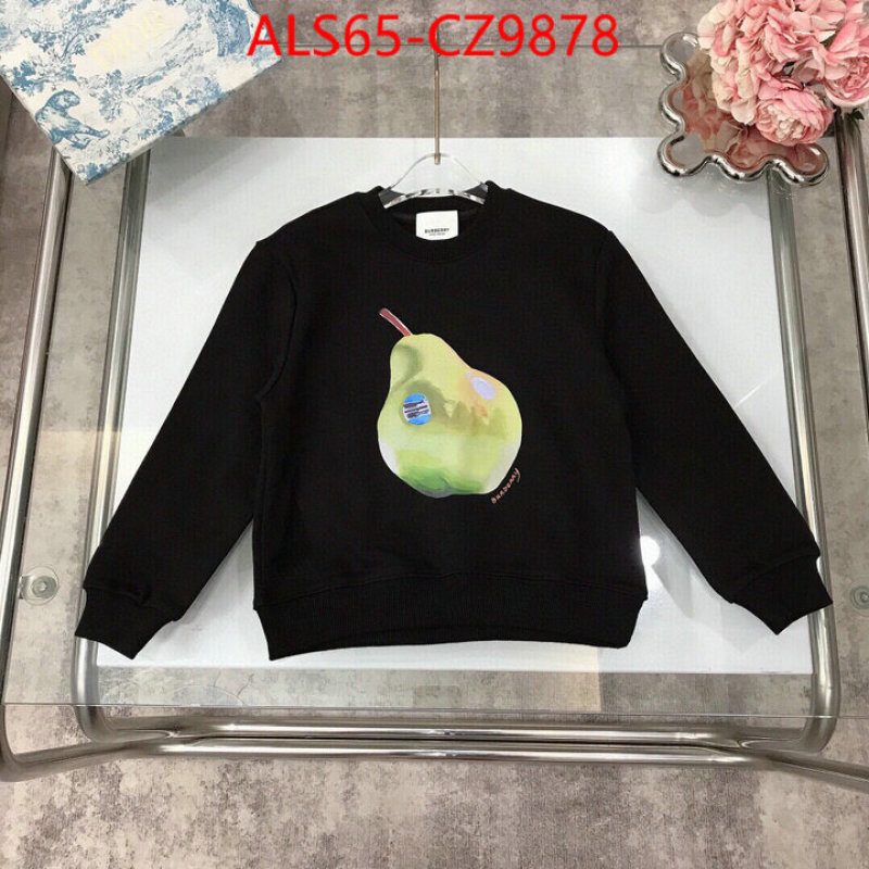 Kids clothing-Burberry best website for replica ID: CZ9878 $: 65USD