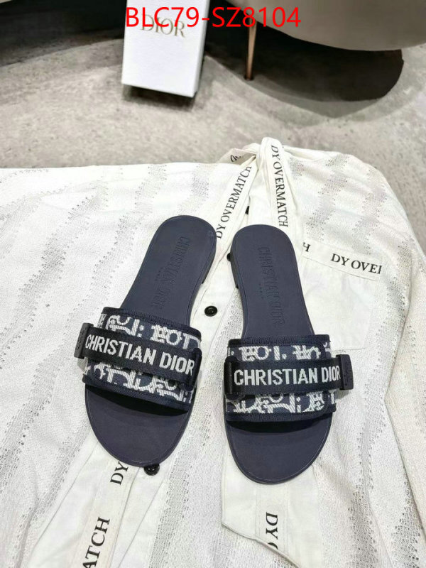 Women Shoes-Dior the online shopping ID: SZ8104 $: 79USD
