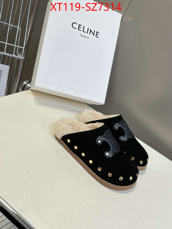 Women Shoes-CELINE what is top quality replica ID: SZ7314 $: 119USD