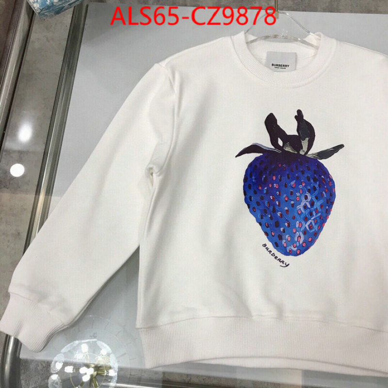 Kids clothing-Burberry best website for replica ID: CZ9878 $: 65USD