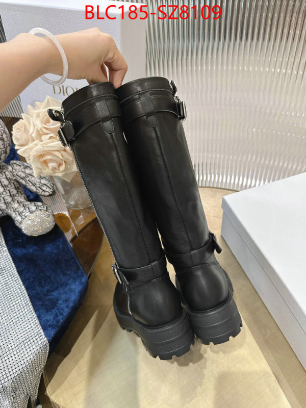 Women Shoes-Dior online from china designer ID: SZ8109 $: 185USD