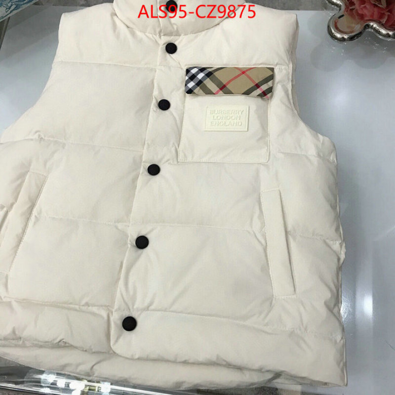 Kids clothing-Down jacket how to buy replica shop ID: CZ9875 $: 95USD