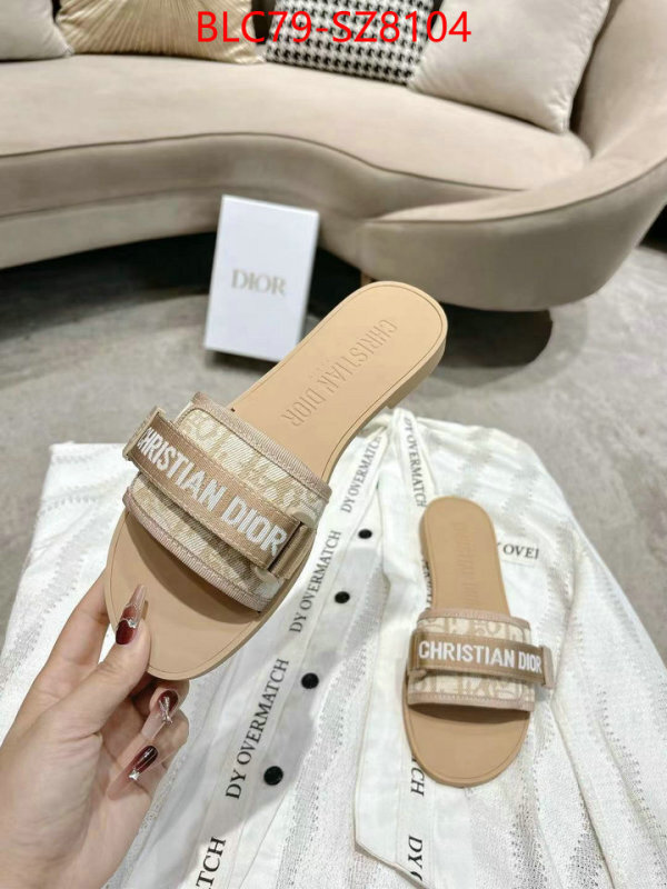 Women Shoes-Dior the online shopping ID: SZ8104 $: 79USD