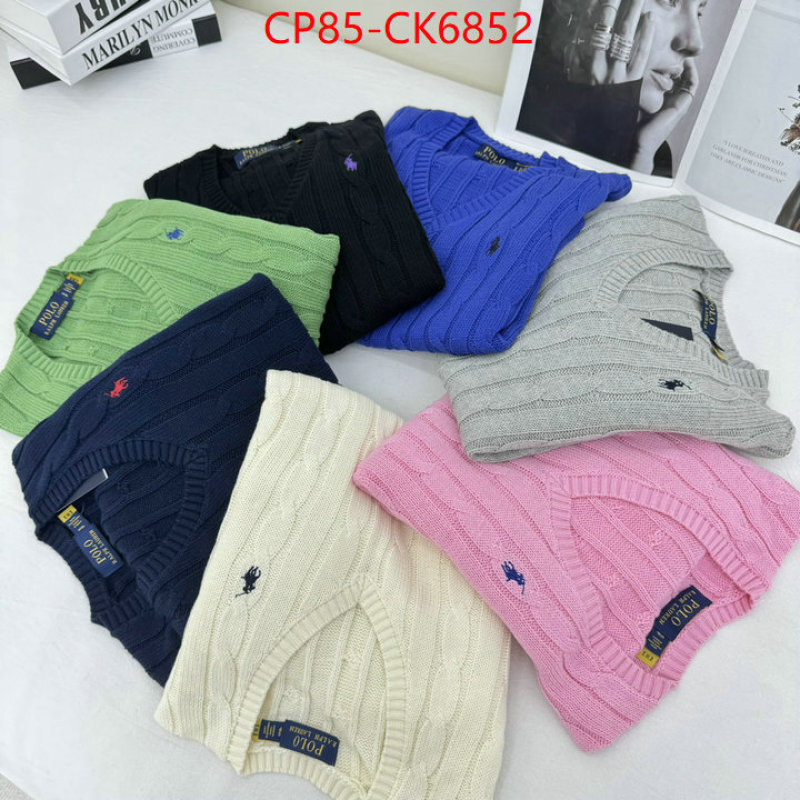 Clothing-Ralph Lauren the quality replica ID: CK6852 $: 85USD