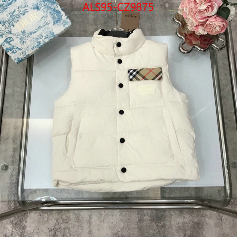 Kids clothing-Down jacket how to buy replica shop ID: CZ9875 $: 95USD