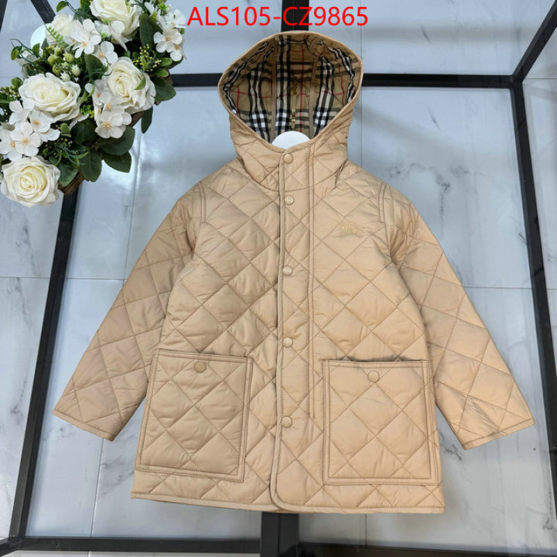 Kids clothing-Down jacket high quality ID: CZ9865 $: 105USD