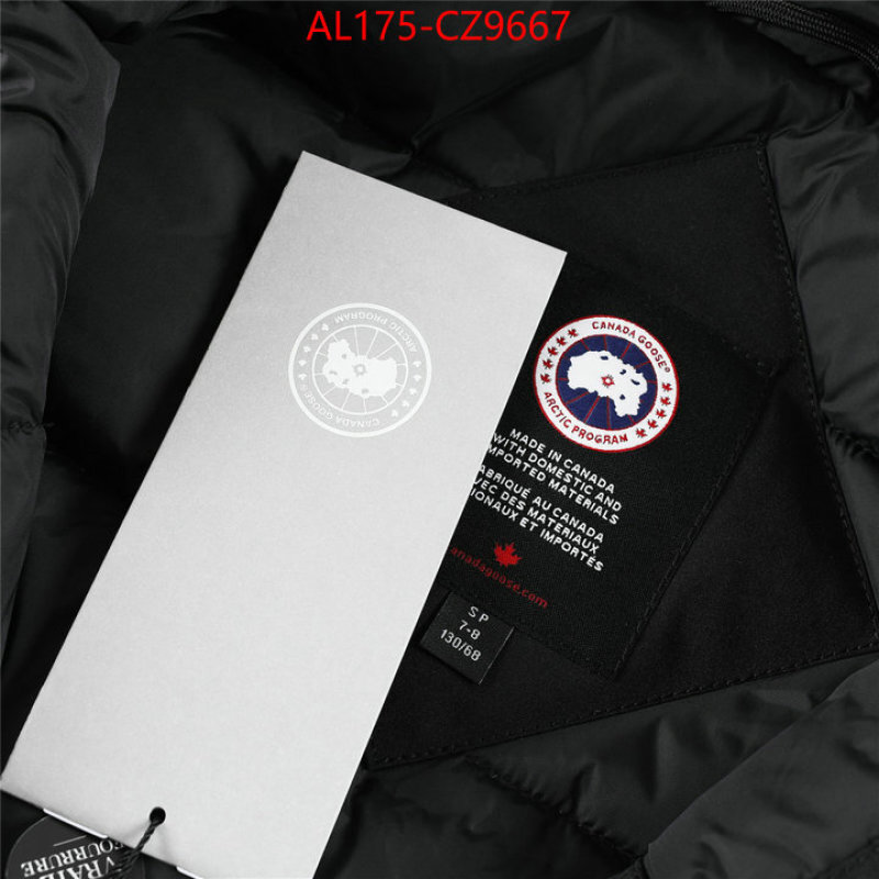 Kids clothing-Down jacket best replica 1:1 ID: CZ9667 $: 175USD