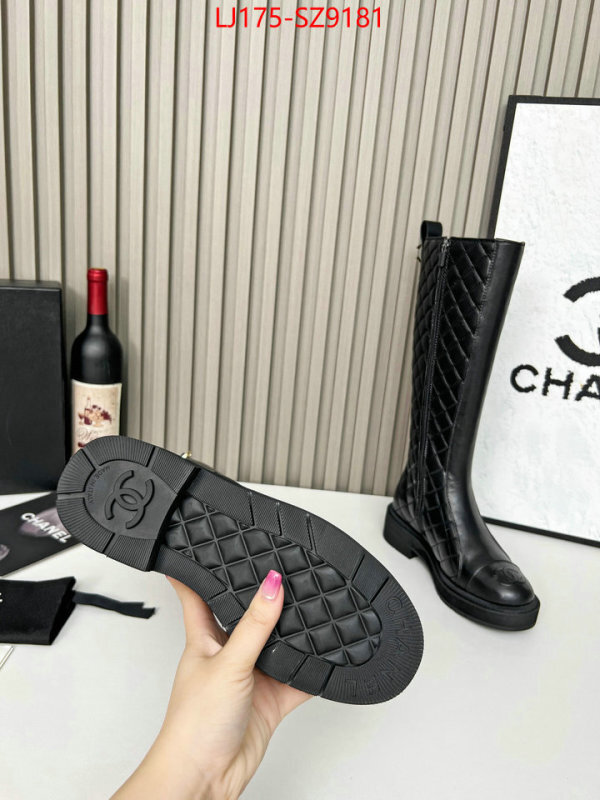 Women Shoes-Boots online from china ID: SZ9181 $: 175USD