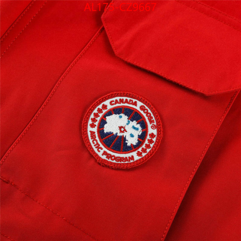 Kids clothing-Down jacket best replica 1:1 ID: CZ9667 $: 175USD
