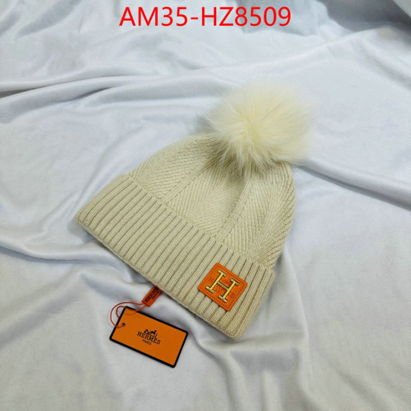 Cap(Hat)-Hermes ID: HZ8509 $: 35USD