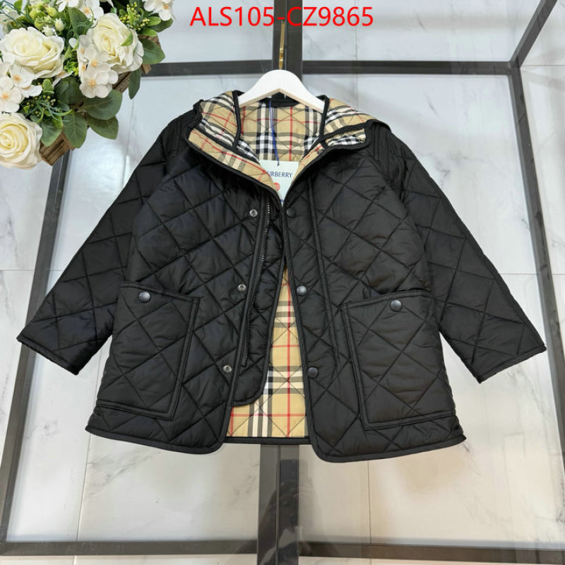 Kids clothing-Down jacket high quality ID: CZ9865 $: 105USD