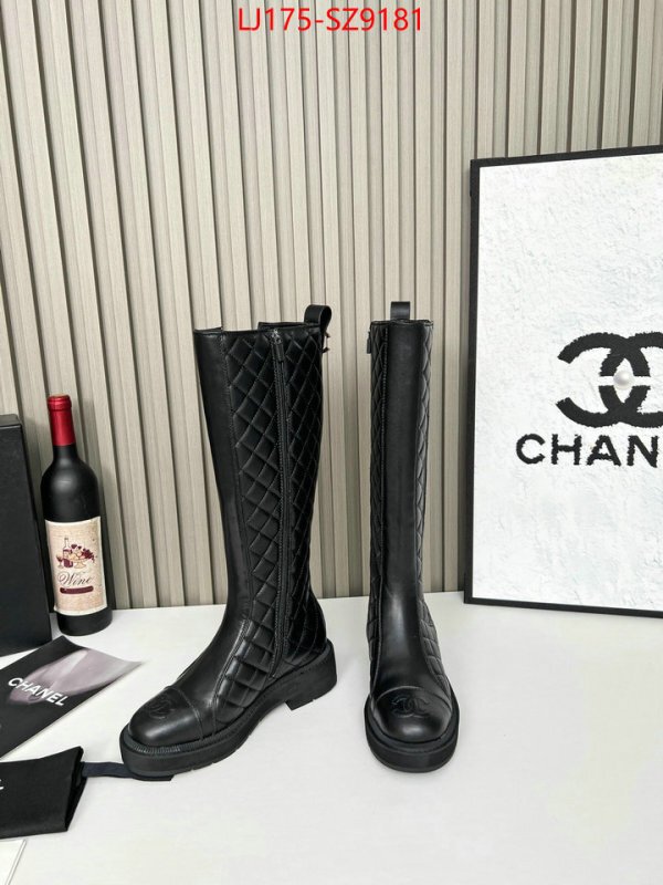 Women Shoes-Boots online from china ID: SZ9181 $: 175USD