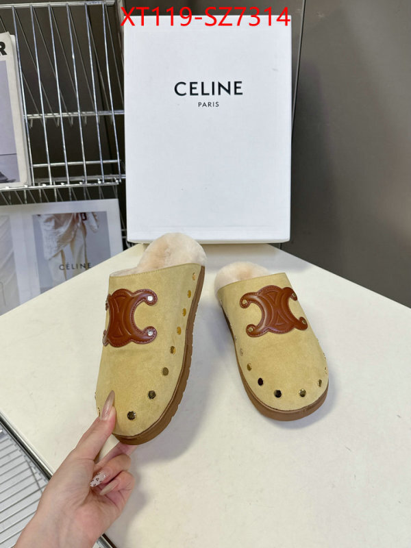 Women Shoes-CELINE what is top quality replica ID: SZ7314 $: 119USD