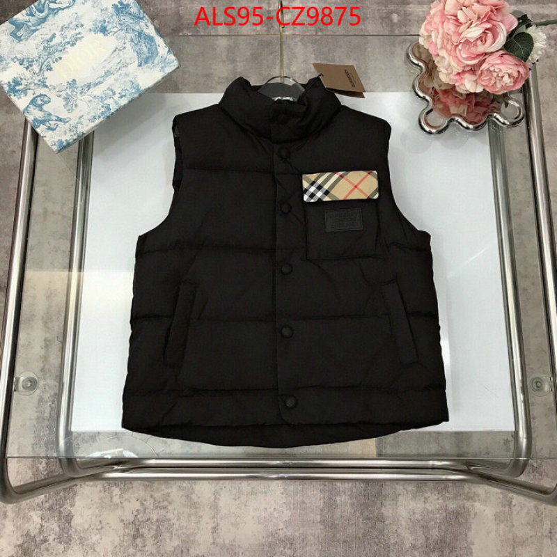 Kids clothing-Down jacket how to buy replica shop ID: CZ9875 $: 95USD