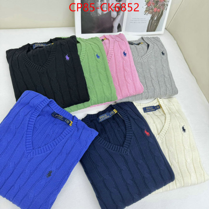 Clothing-Ralph Lauren the quality replica ID: CK6852 $: 85USD
