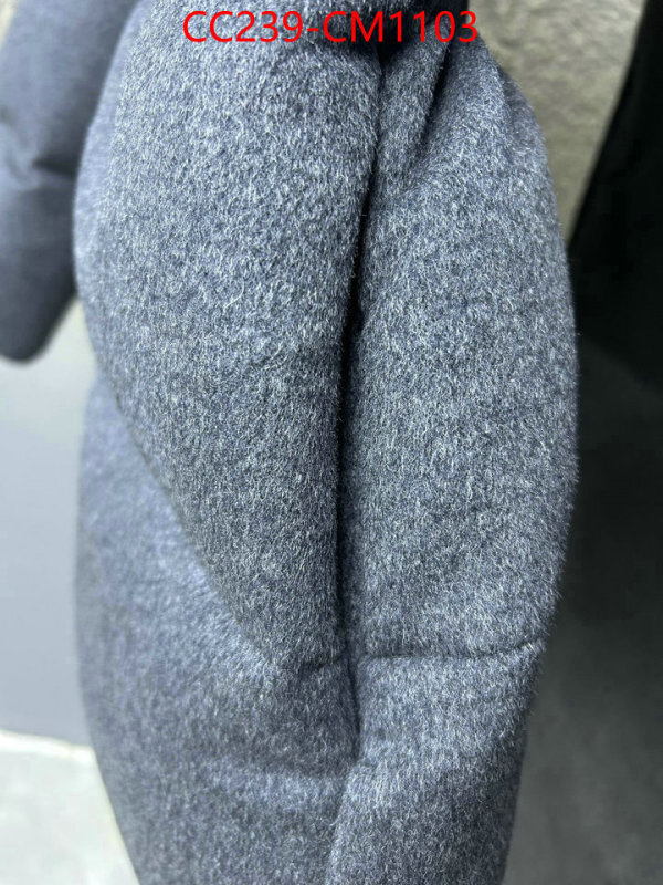 Down jacket Women-Prada where can i buy the best quality ID: CM1103 $: 239USD
