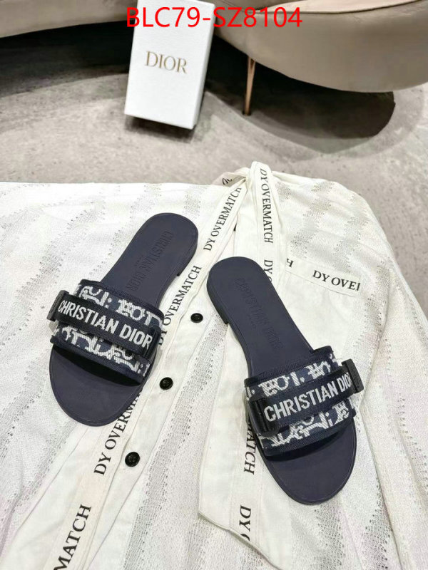 Women Shoes-Dior the online shopping ID: SZ8104 $: 79USD