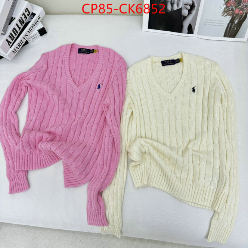 Clothing-Ralph Lauren the quality replica ID: CK6852 $: 85USD