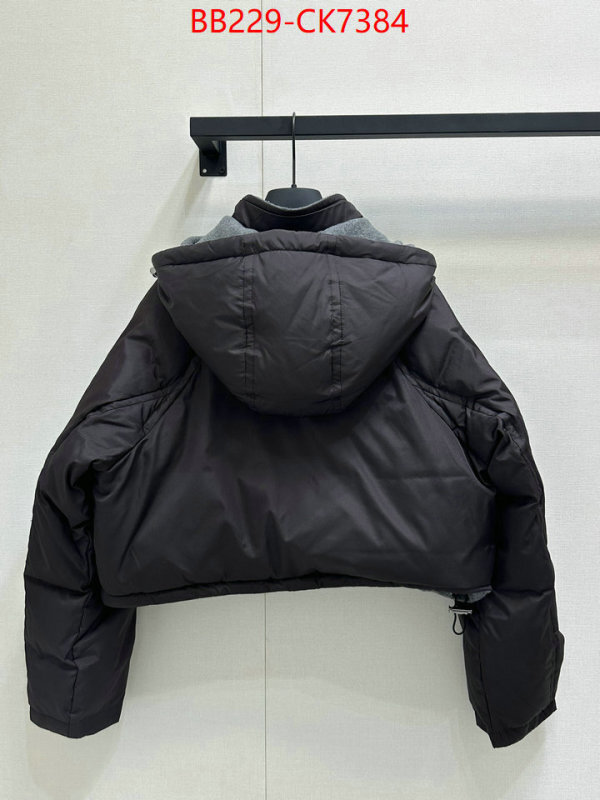Down jacket Women-Fendi high-end designer ID: CK7384 $: 229USD