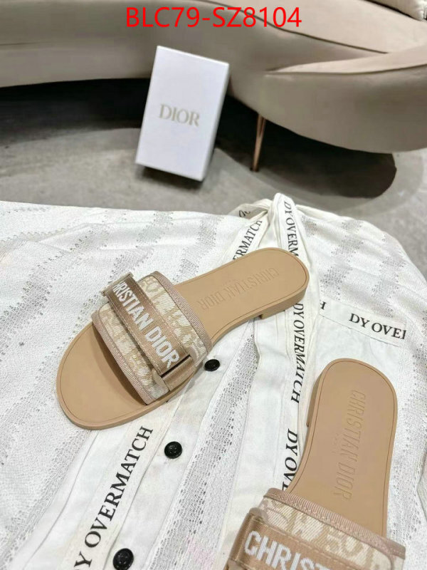 Women Shoes-Dior the online shopping ID: SZ8104 $: 79USD