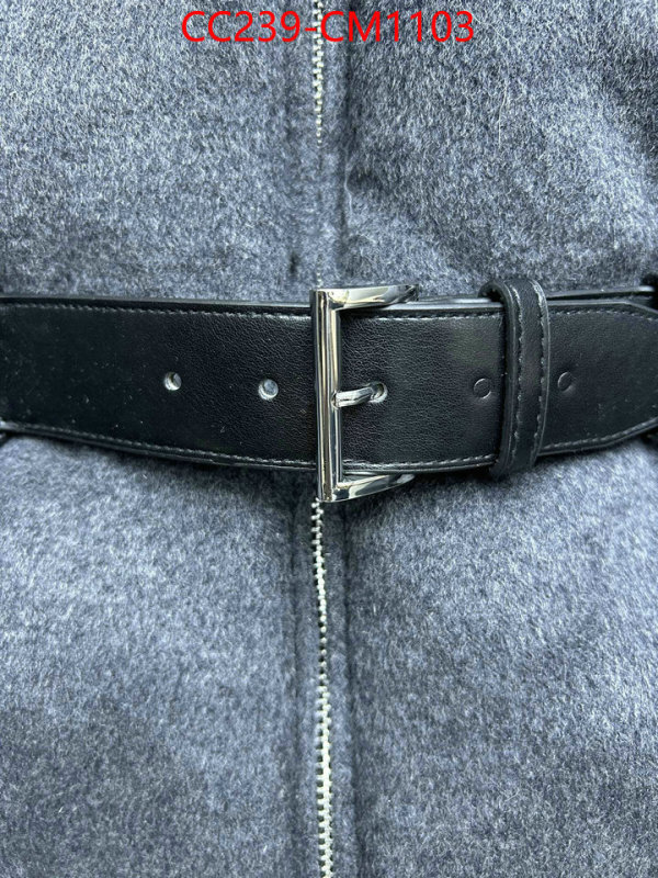 Down jacket Women-Prada where can i buy the best quality ID: CM1103 $: 239USD