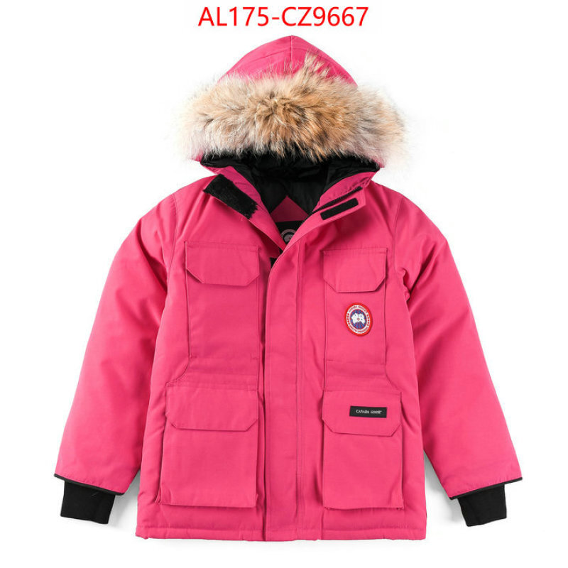 Kids clothing-Down jacket best replica 1:1 ID: CZ9667 $: 175USD