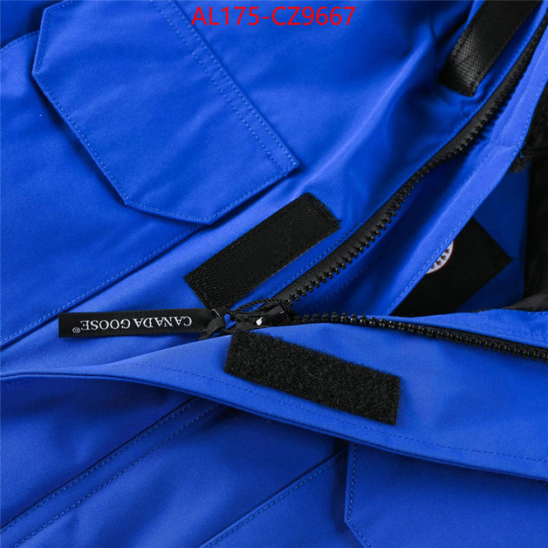 Kids clothing-Down jacket best replica 1:1 ID: CZ9667 $: 175USD