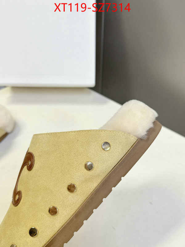 Women Shoes-CELINE what is top quality replica ID: SZ7314 $: 119USD