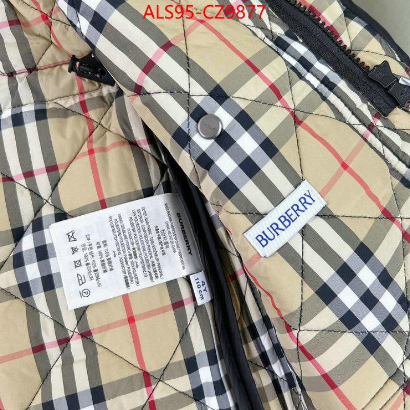 Kids clothing-Down jacket sellers online ID: CZ9877 $: 95USD