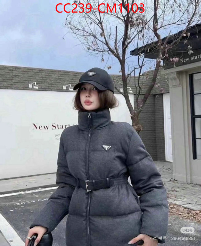 Down jacket Women-Prada where can i buy the best quality ID: CM1103 $: 239USD