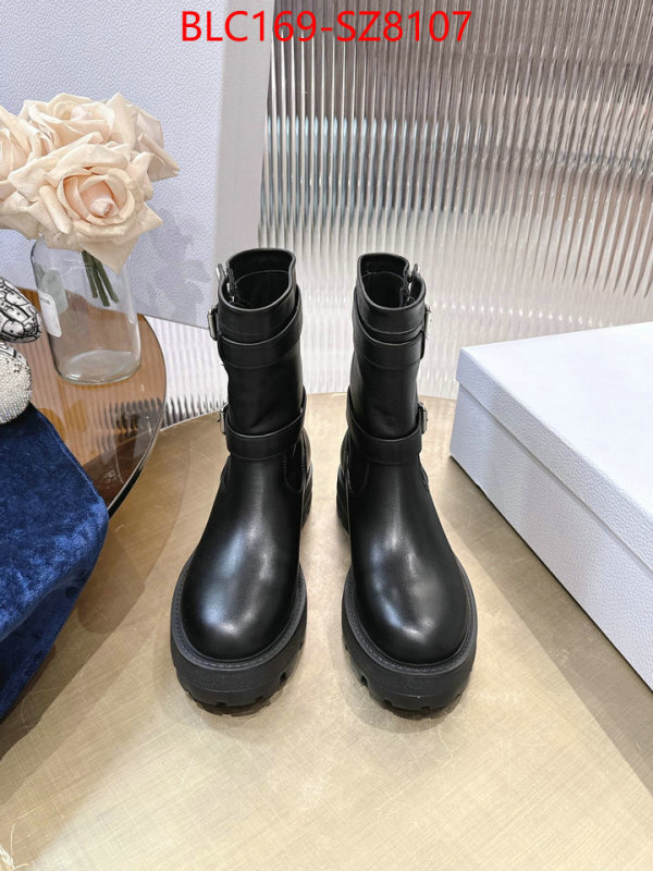 Women Shoes-Dior cheap high quality replica ID: SZ8107 $: 169USD