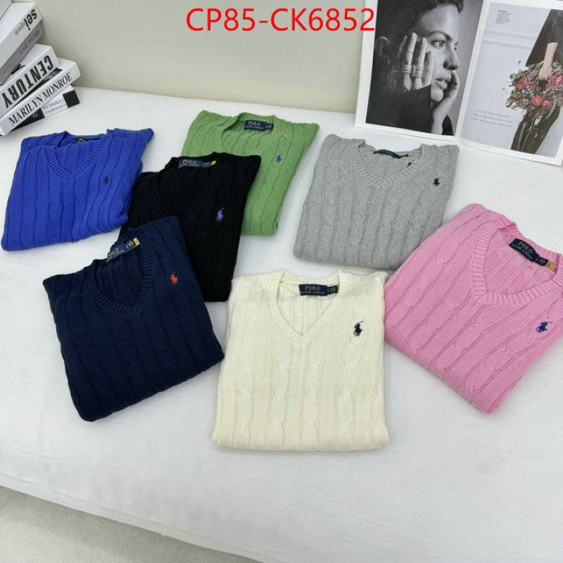 Clothing-Ralph Lauren the quality replica ID: CK6852 $: 85USD