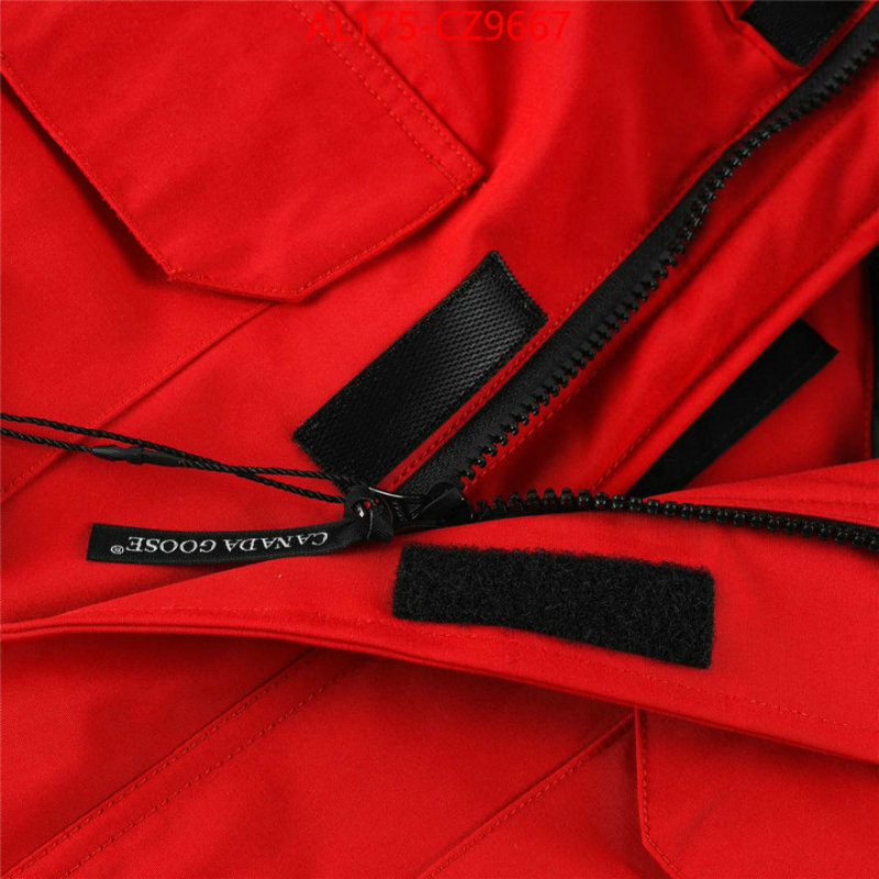 Kids clothing-Down jacket best replica 1:1 ID: CZ9667 $: 175USD