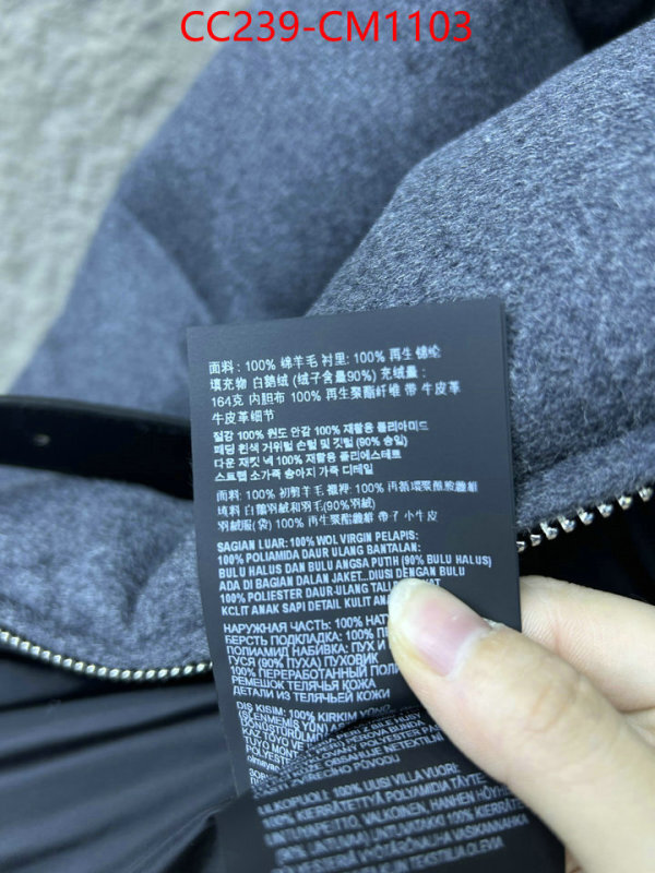 Down jacket Women-Prada where can i buy the best quality ID: CM1103 $: 239USD